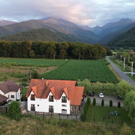 Pensiunea Maya Sîmbăta de Sus Bagian luar foto