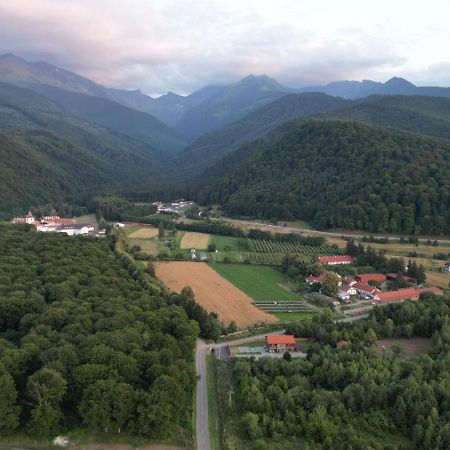 Pensiunea Maya Sîmbăta de Sus Bagian luar foto