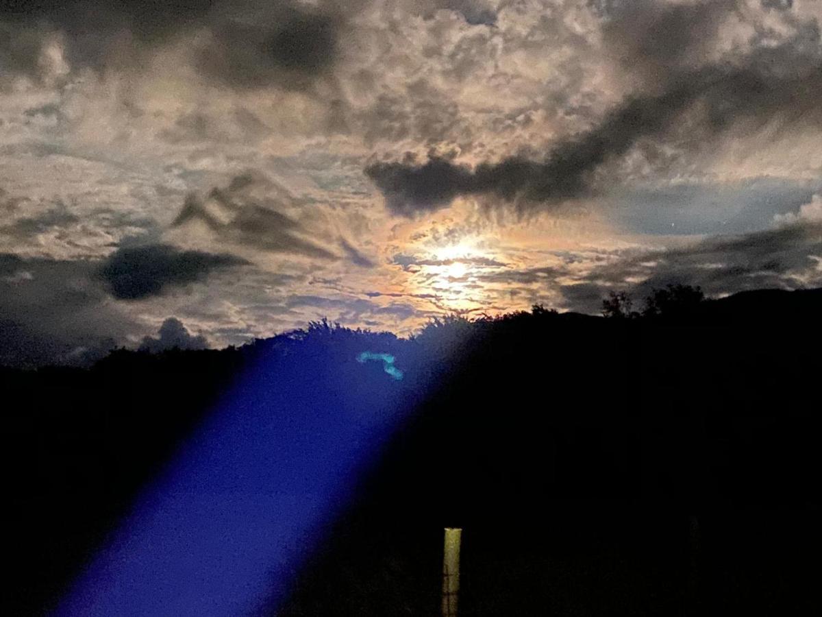 Pensiunea Maya Sîmbăta de Sus Bagian luar foto