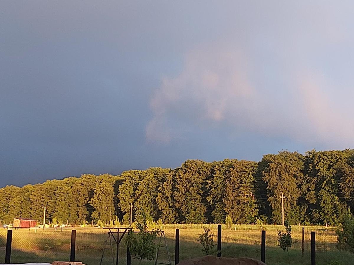 Pensiunea Maya Sîmbăta de Sus Bagian luar foto