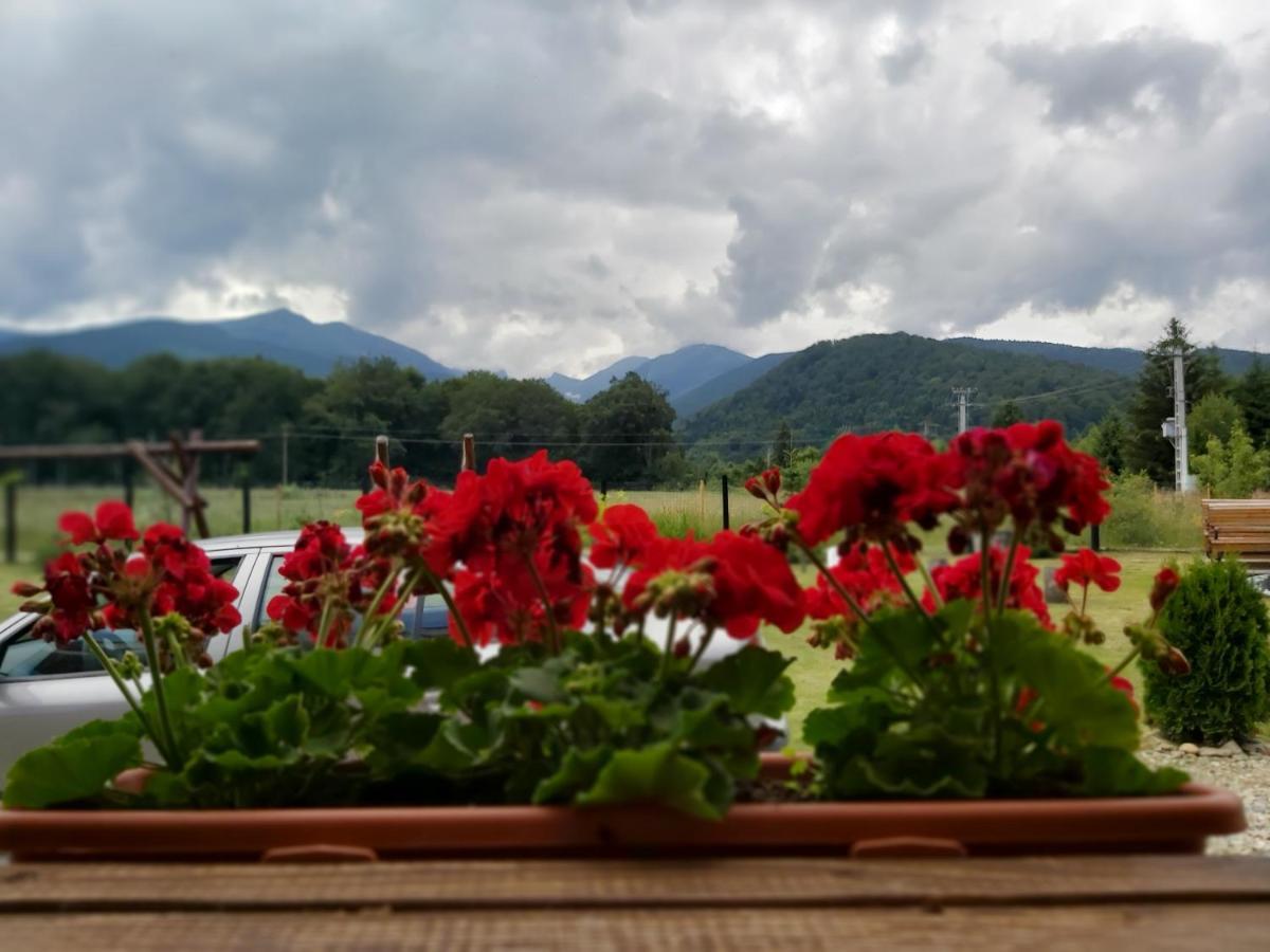 Pensiunea Maya Sîmbăta de Sus Bagian luar foto