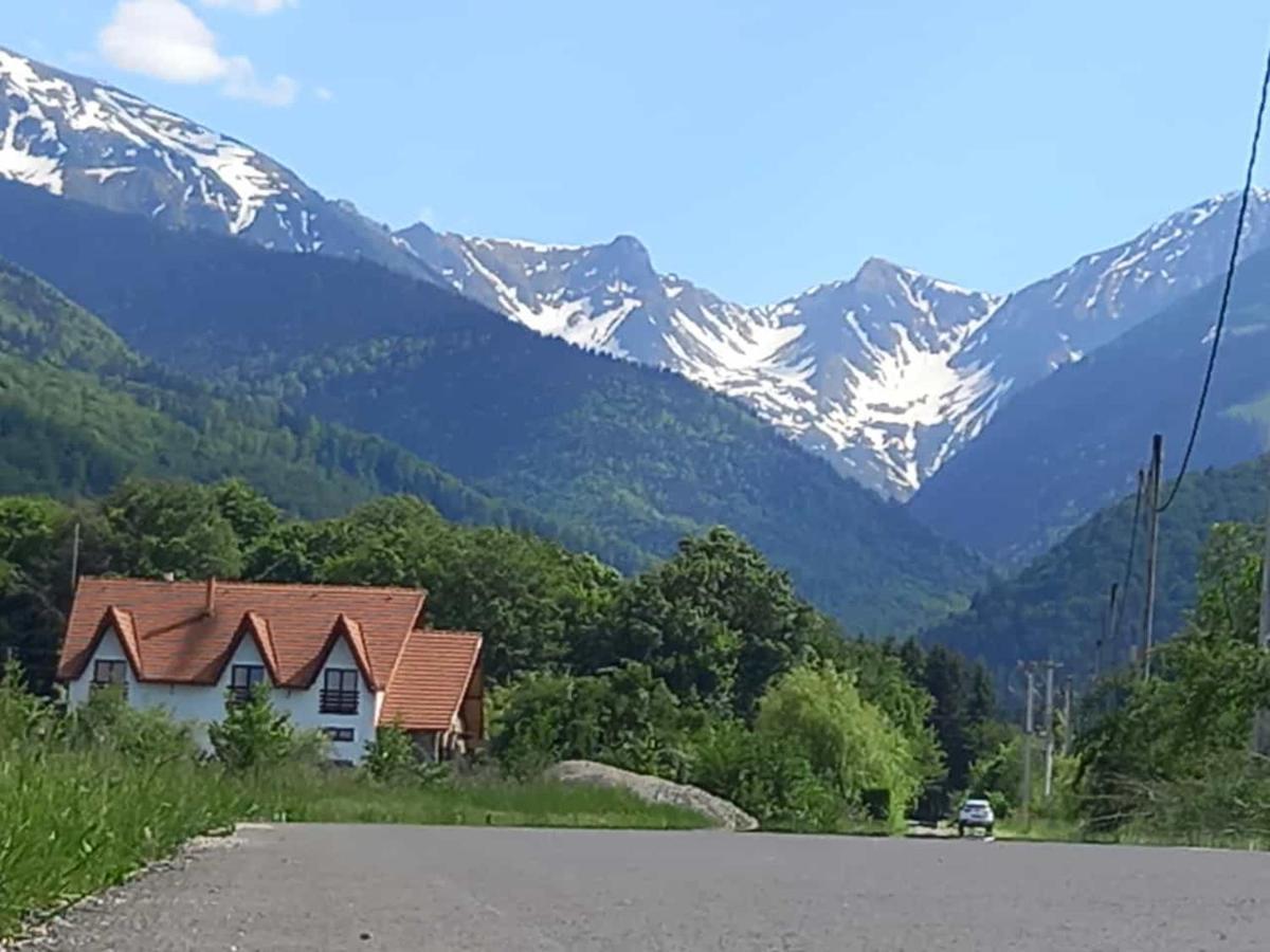 Pensiunea Maya Sîmbăta de Sus Bagian luar foto