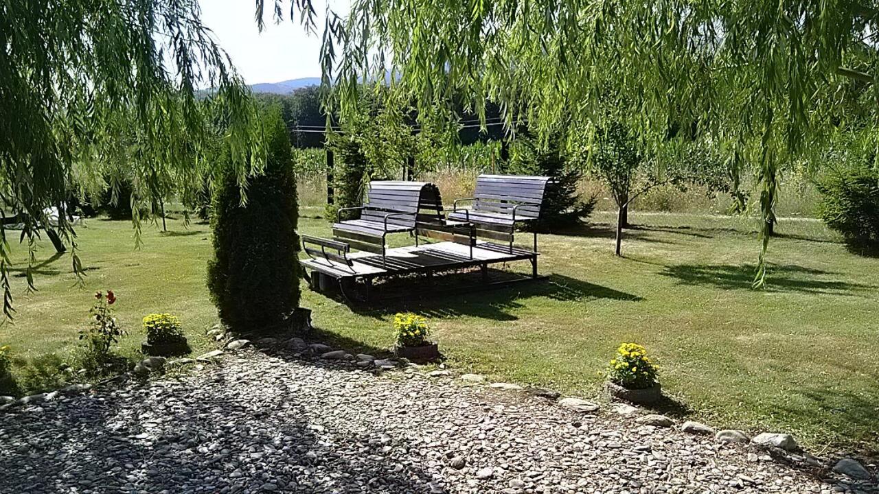 Pensiunea Maya Sîmbăta de Sus Bagian luar foto