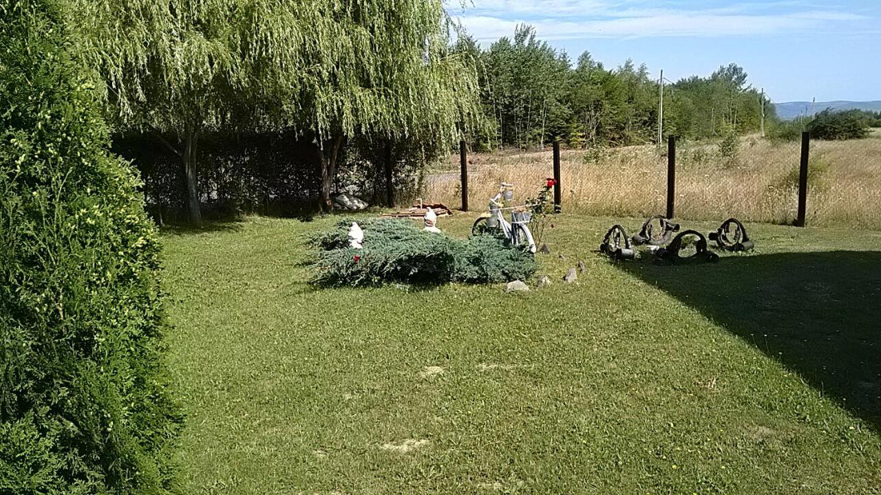 Pensiunea Maya Sîmbăta de Sus Bagian luar foto
