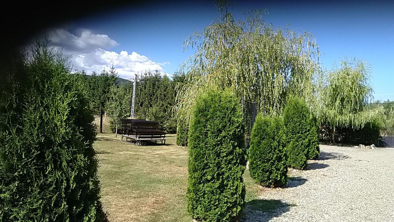 Pensiunea Maya Sîmbăta de Sus Bagian luar foto