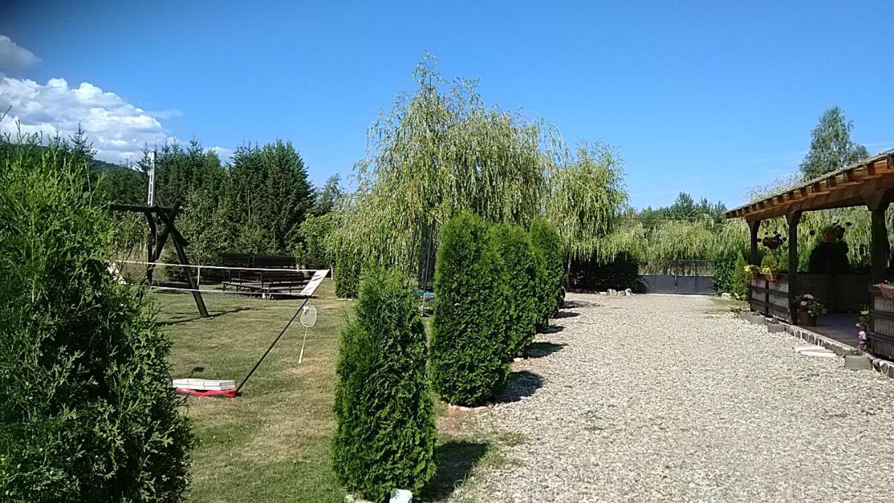 Pensiunea Maya Sîmbăta de Sus Bagian luar foto