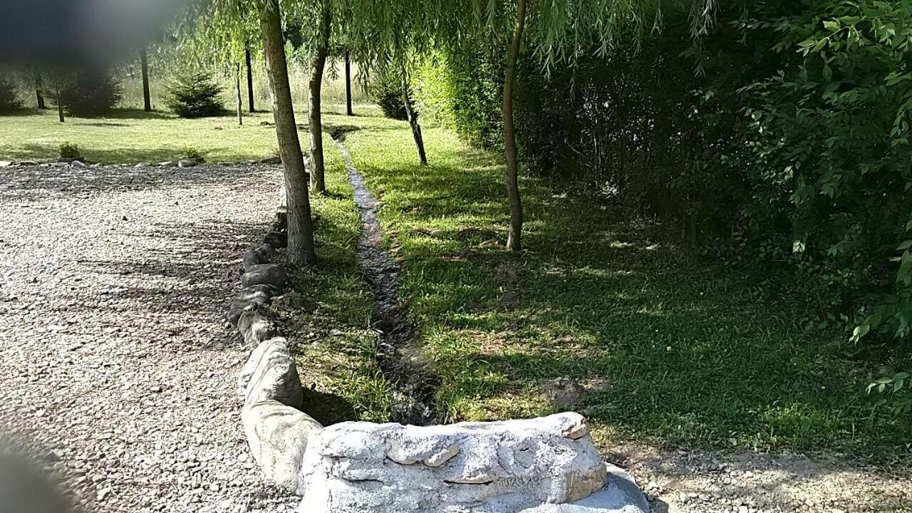 Pensiunea Maya Sîmbăta de Sus Bagian luar foto
