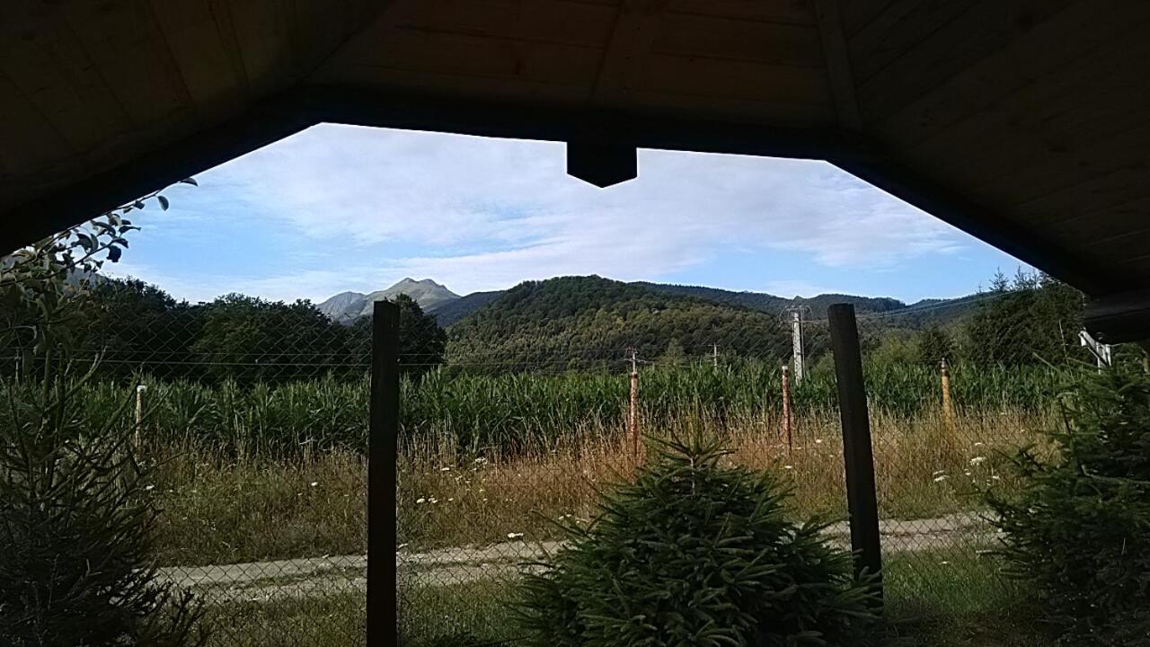Pensiunea Maya Sîmbăta de Sus Bagian luar foto
