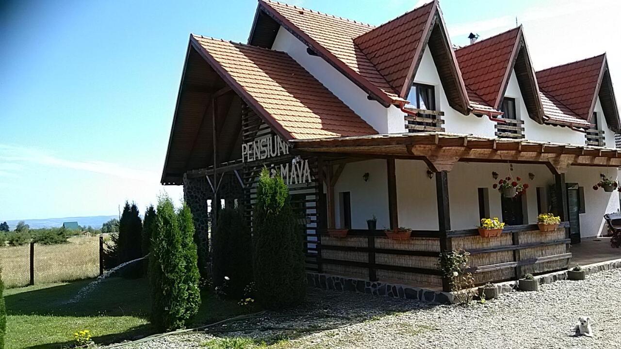 Pensiunea Maya Sîmbăta de Sus Bagian luar foto
