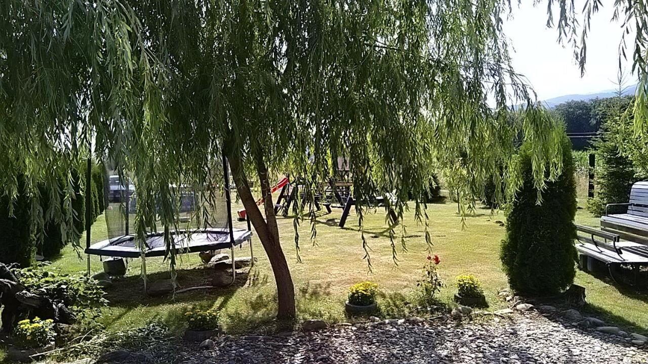 Pensiunea Maya Sîmbăta de Sus Bagian luar foto