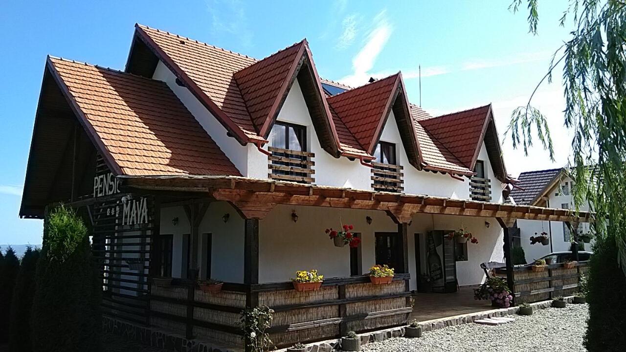 Pensiunea Maya Sîmbăta de Sus Bagian luar foto