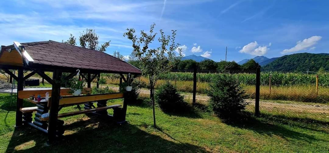 Pensiunea Maya Sîmbăta de Sus Bagian luar foto