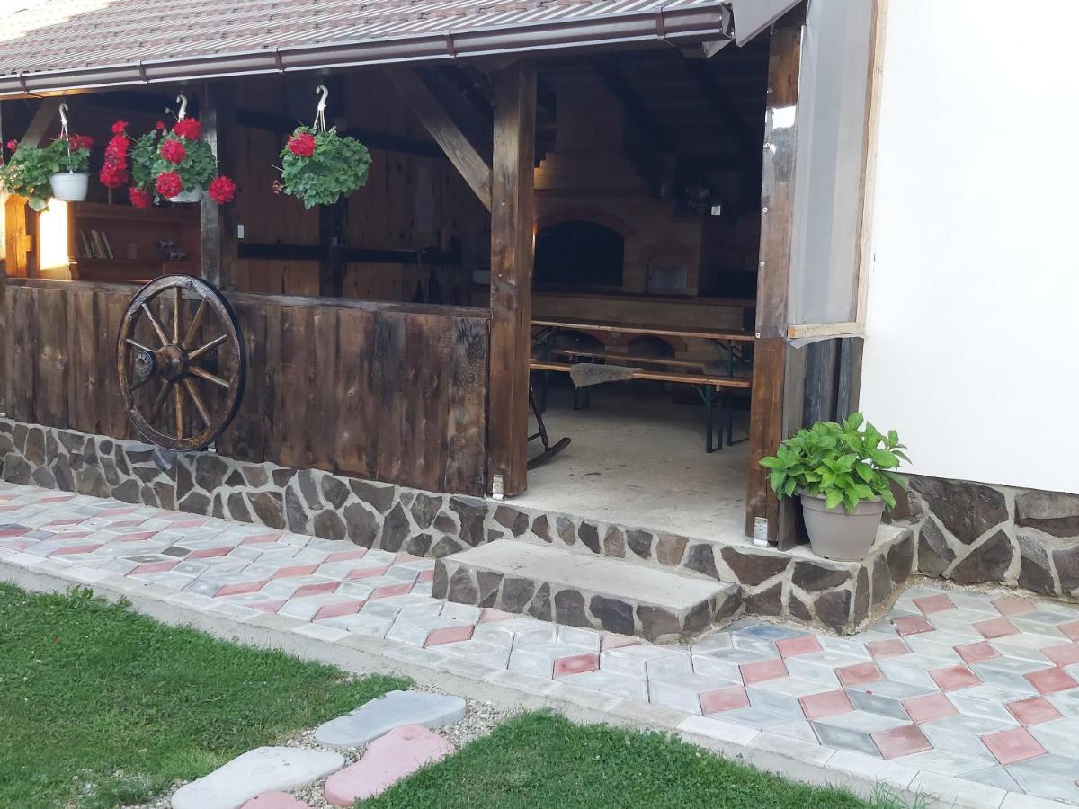 Pensiunea Maya Sîmbăta de Sus Bagian luar foto