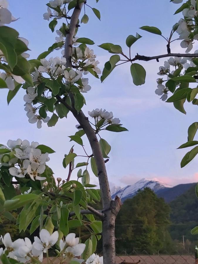 Pensiunea Maya Sîmbăta de Sus Bagian luar foto