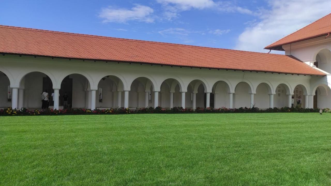 Pensiunea Maya Sîmbăta de Sus Bagian luar foto