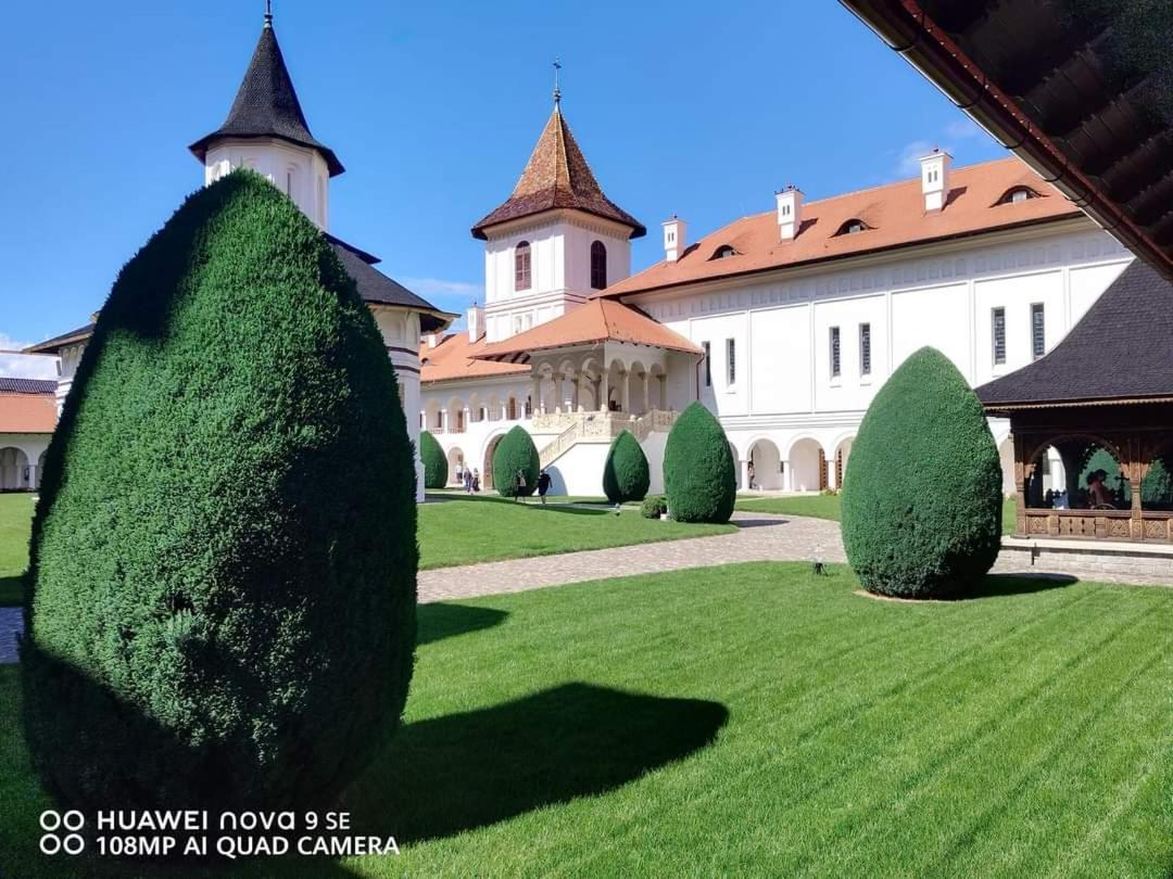 Pensiunea Maya Sîmbăta de Sus Bagian luar foto