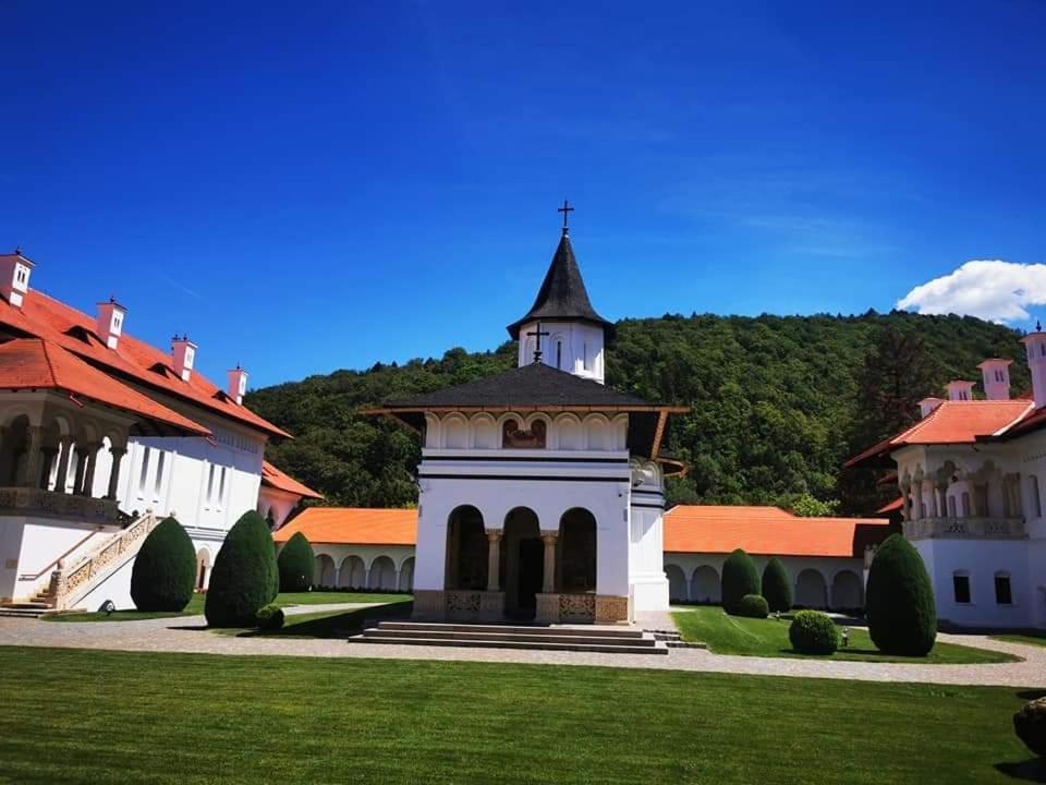 Pensiunea Maya Sîmbăta de Sus Bagian luar foto