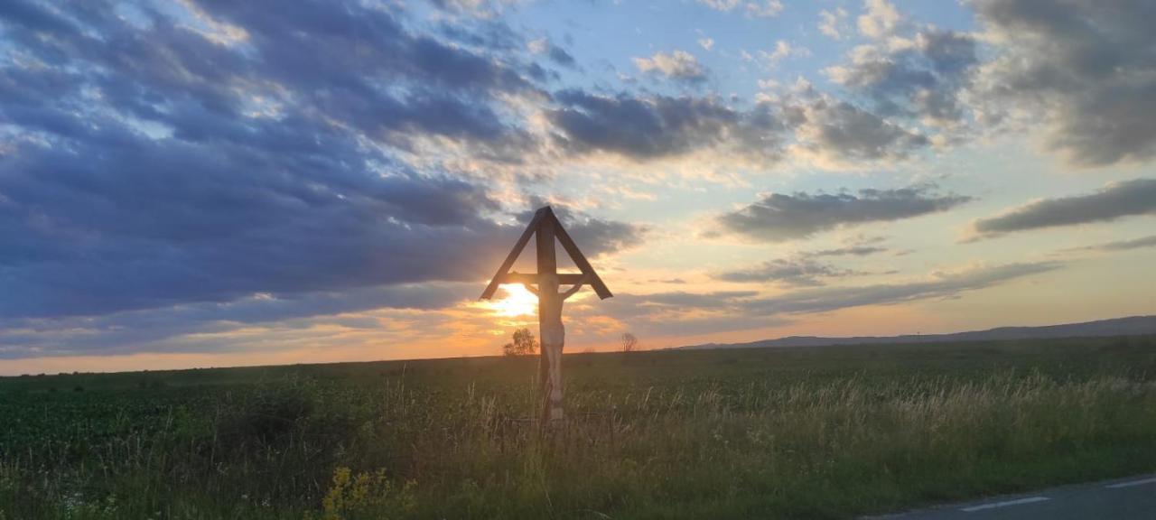Pensiunea Maya Sîmbăta de Sus Bagian luar foto