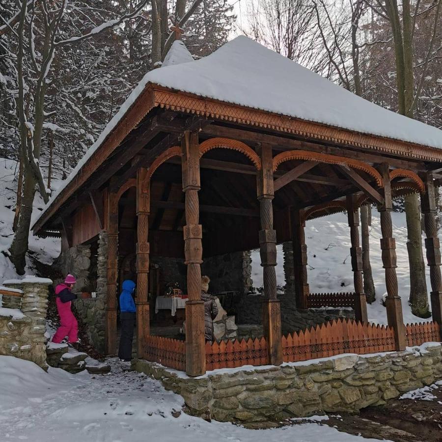 Pensiunea Maya Sîmbăta de Sus Bagian luar foto