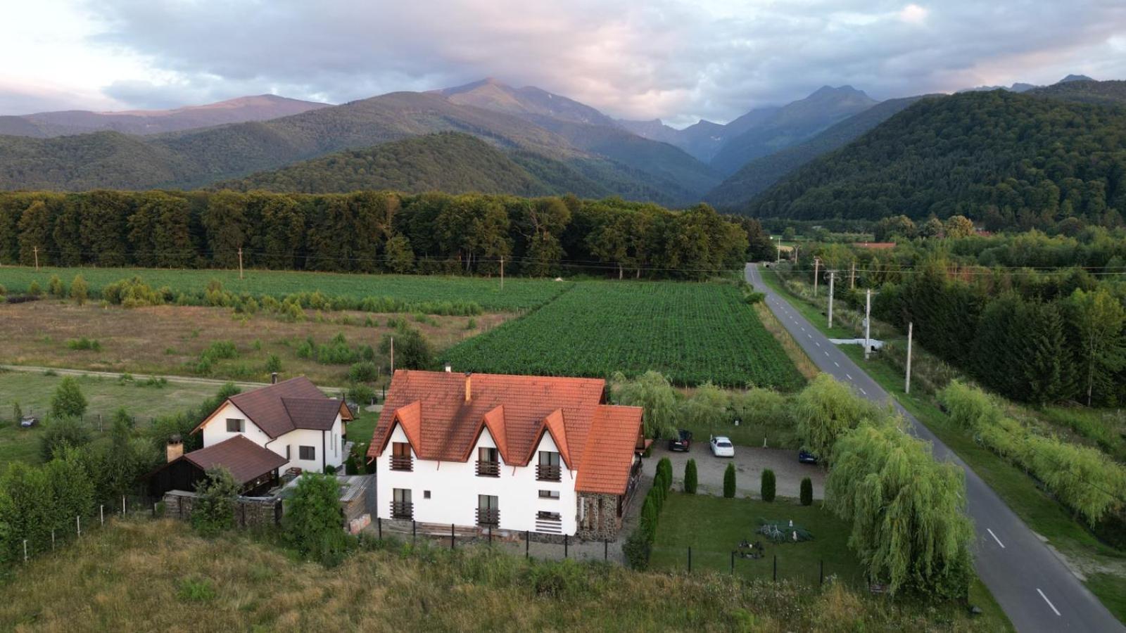 Pensiunea Maya Sîmbăta de Sus Bagian luar foto