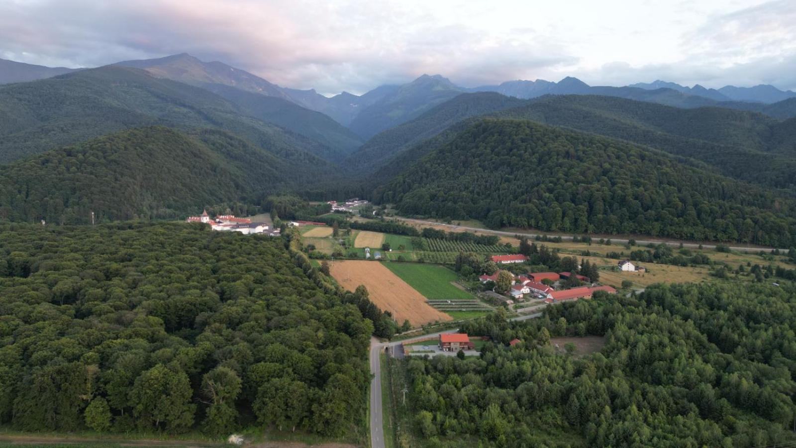 Pensiunea Maya Sîmbăta de Sus Bagian luar foto