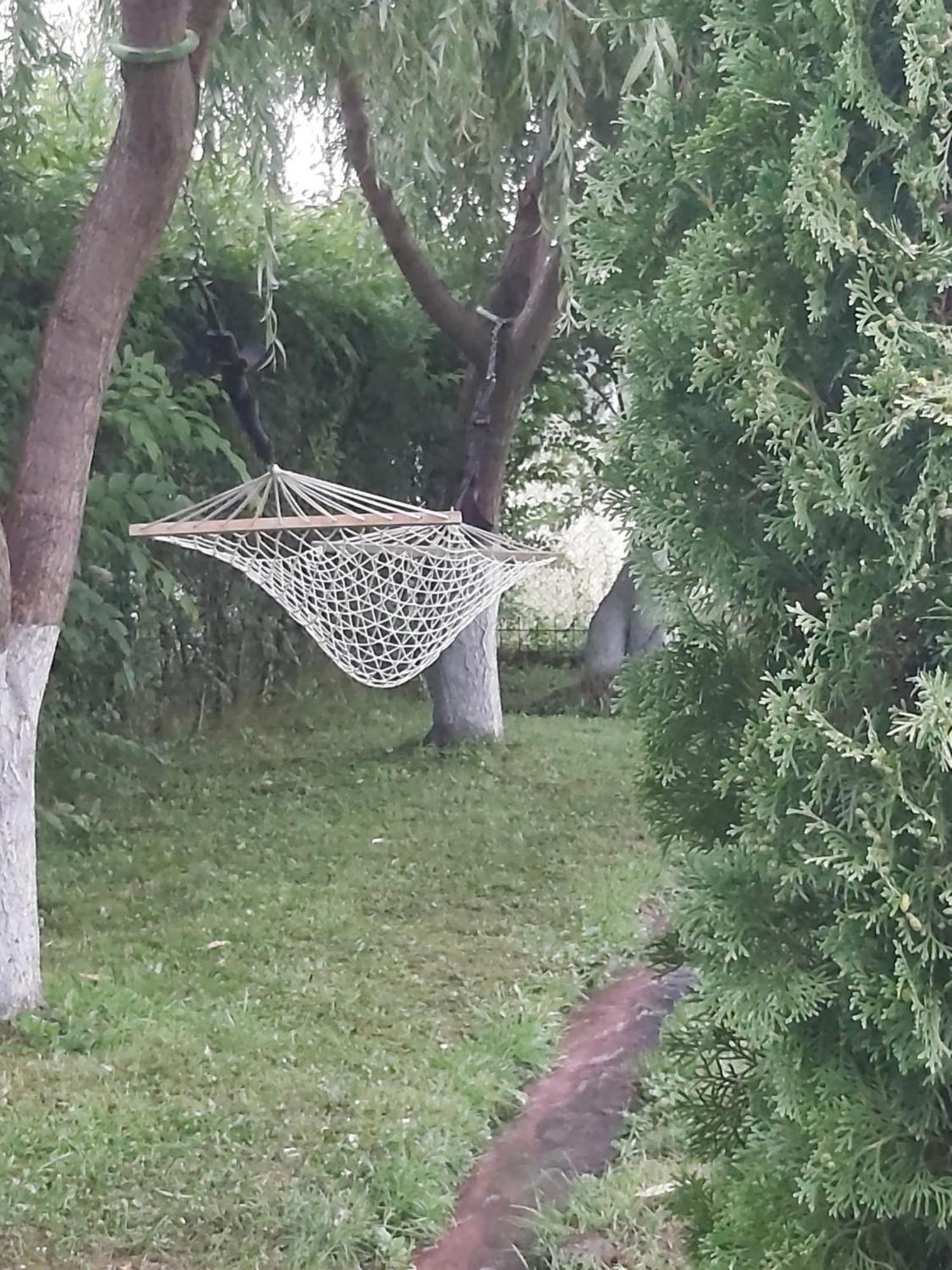 Pensiunea Maya Sîmbăta de Sus Bagian luar foto