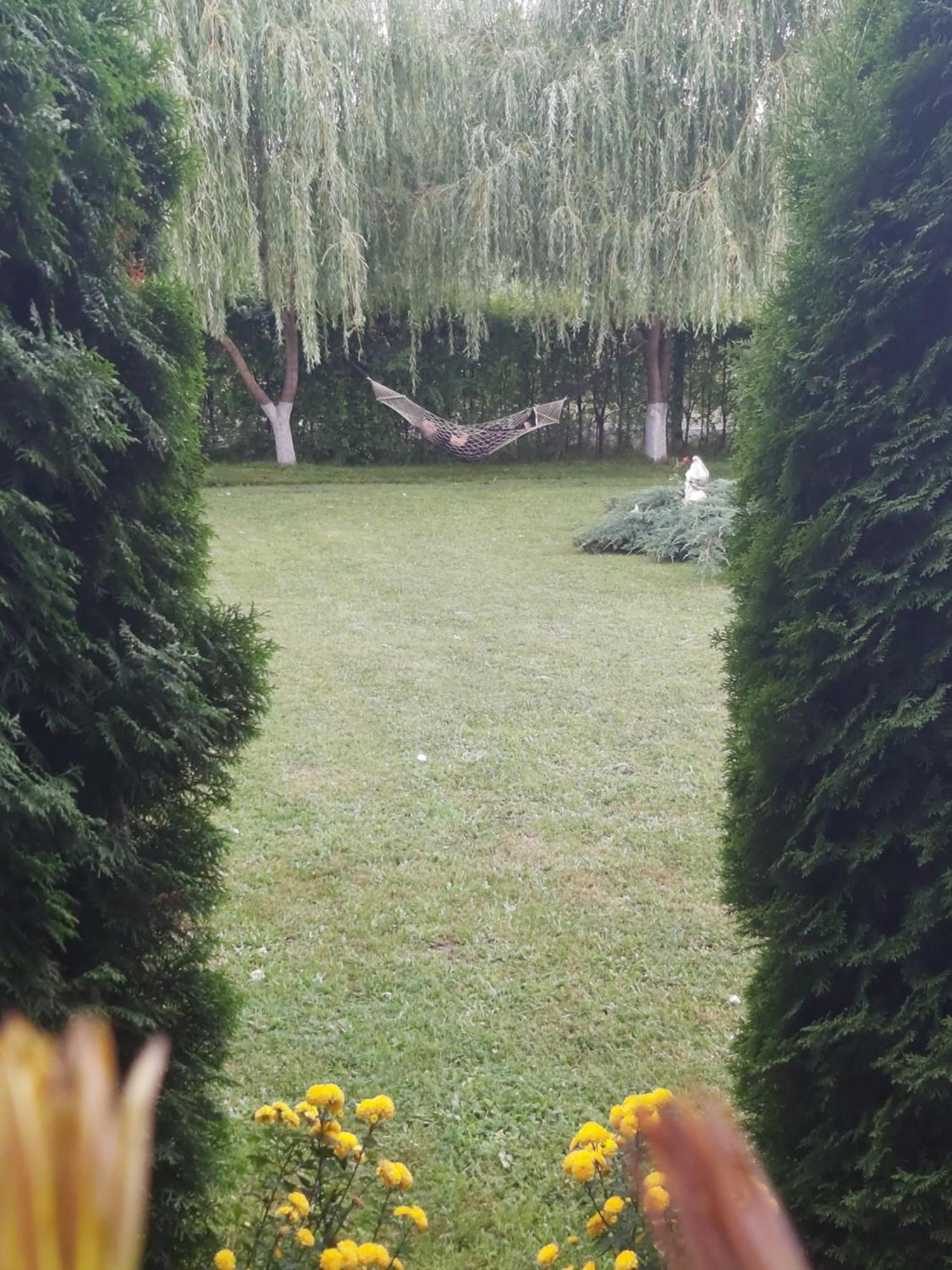 Pensiunea Maya Sîmbăta de Sus Bagian luar foto