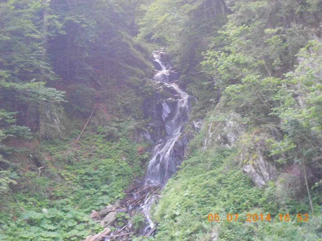 Pensiunea Maya Sîmbăta de Sus Bagian luar foto