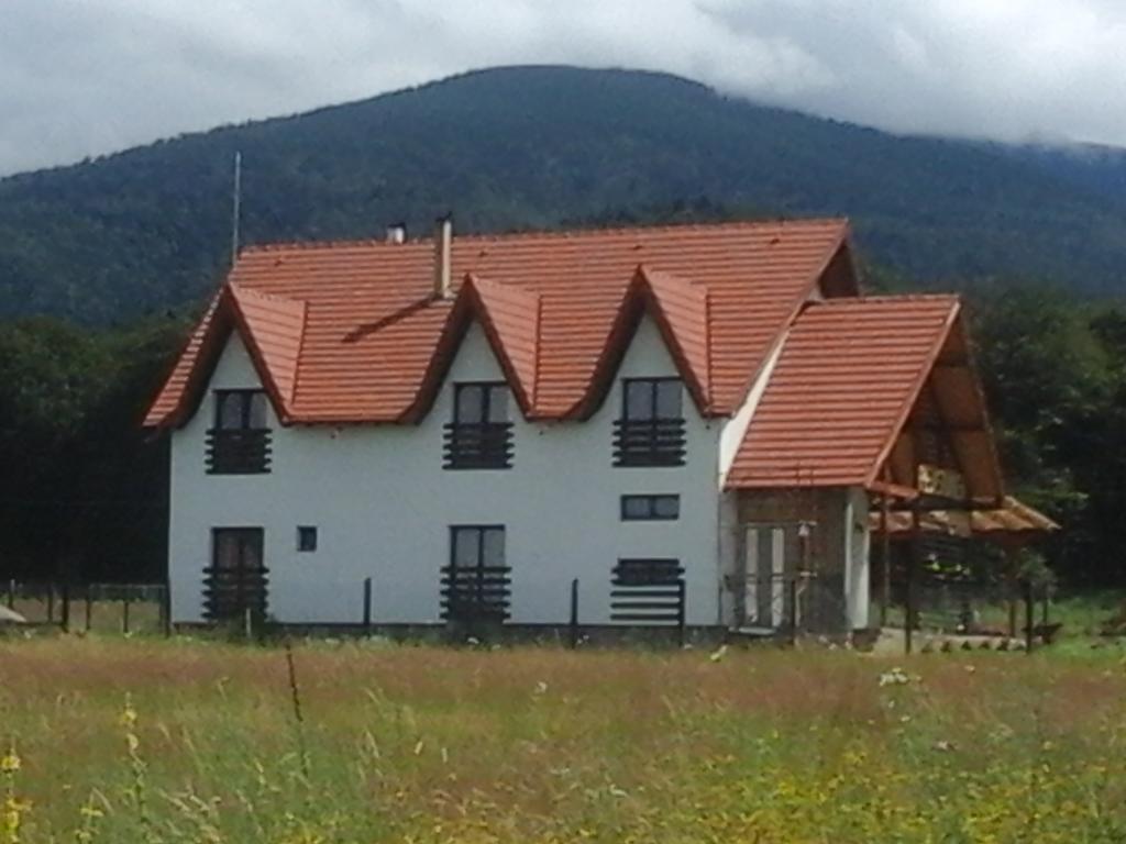 Pensiunea Maya Sîmbăta de Sus Bagian luar foto
