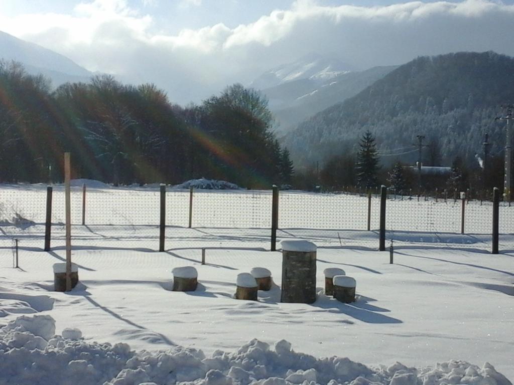 Pensiunea Maya Sîmbăta de Sus Bagian luar foto