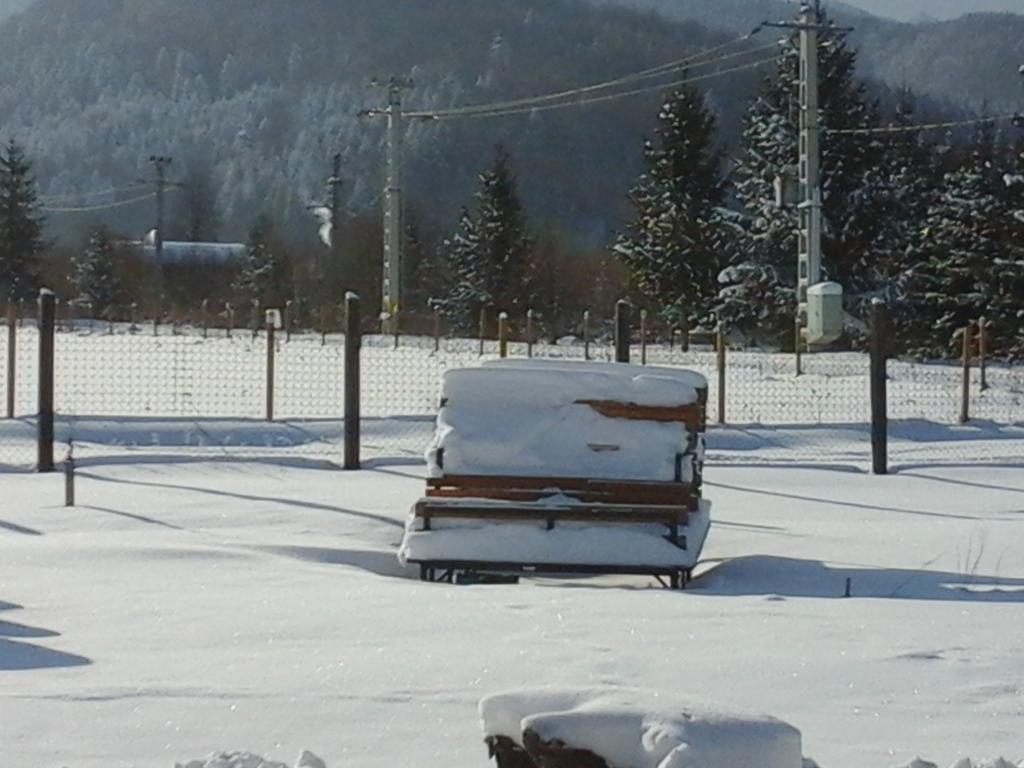 Pensiunea Maya Sîmbăta de Sus Bagian luar foto