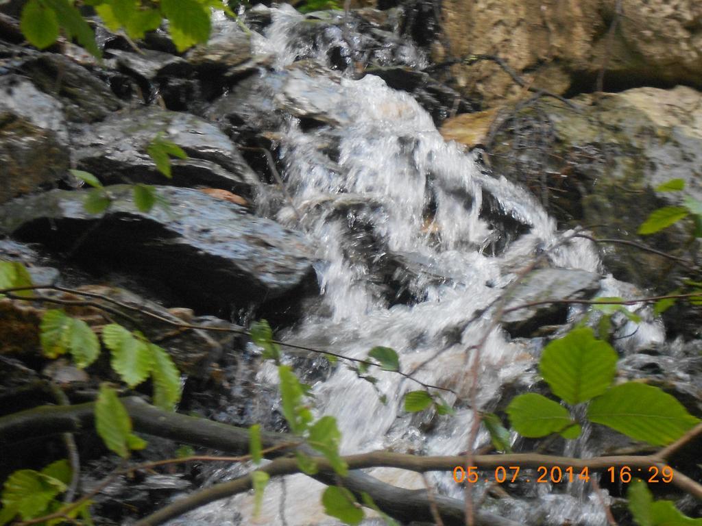 Pensiunea Maya Sîmbăta de Sus Bagian luar foto